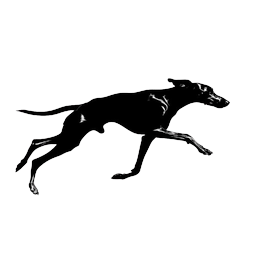 NeuronSearchLab