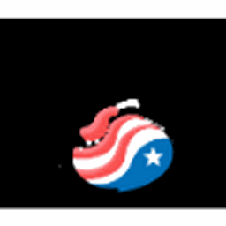 Patriot Conceptions