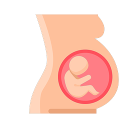 Pregnancy Progress
