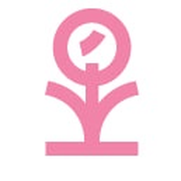 Kokiko