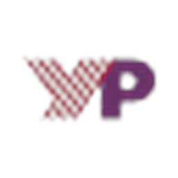 YPulse Insights