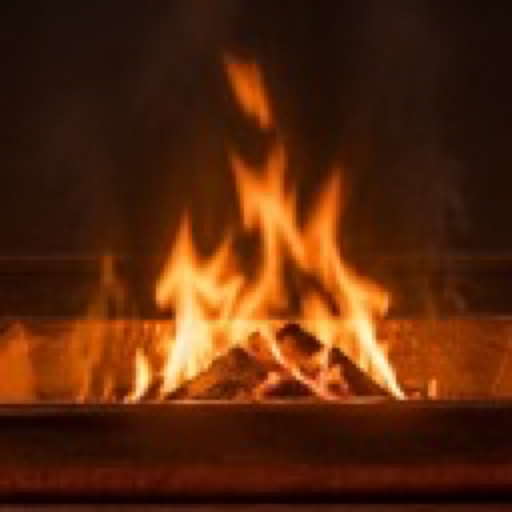 Havan Festival Planner