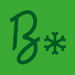BITZER Gascooler Tool