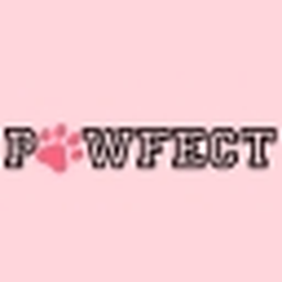 PAWFECT | PUPPY YOGA