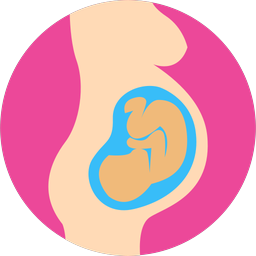 Pregnancy Wheel